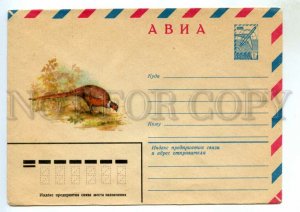 477459 USSR 1980 year Isakov bird pheasant postal COVER