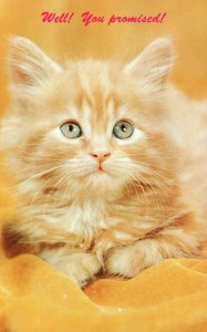 Vintage Postcard Well You Promised! Cute Little Cat Orange Feather Dexter Press