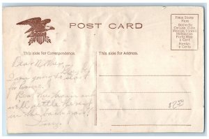 c1910's Greetings From Salmon Idaho ID Unposted Embossed Ribbon Flowers Postcard