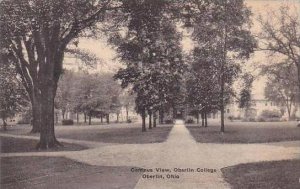 Ohio Oberlin Campus View Oberlin College 1929