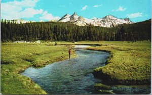 Tuolumne Meadows Yosemite National Park California Postcard C154