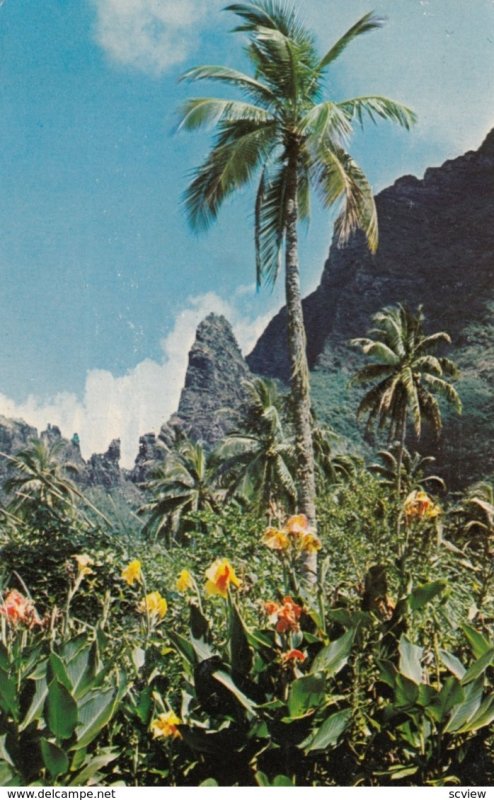 TAHITI , 1975 ; Island of Moorea