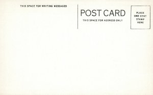 SQUAW KILL BEAR PINE GROVE CABINS ANTIQUE POSTCARD