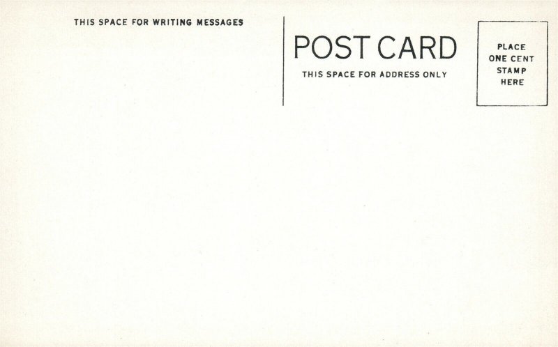 SQUAW KILL BEAR PINE GROVE CABINS ANTIQUE POSTCARD