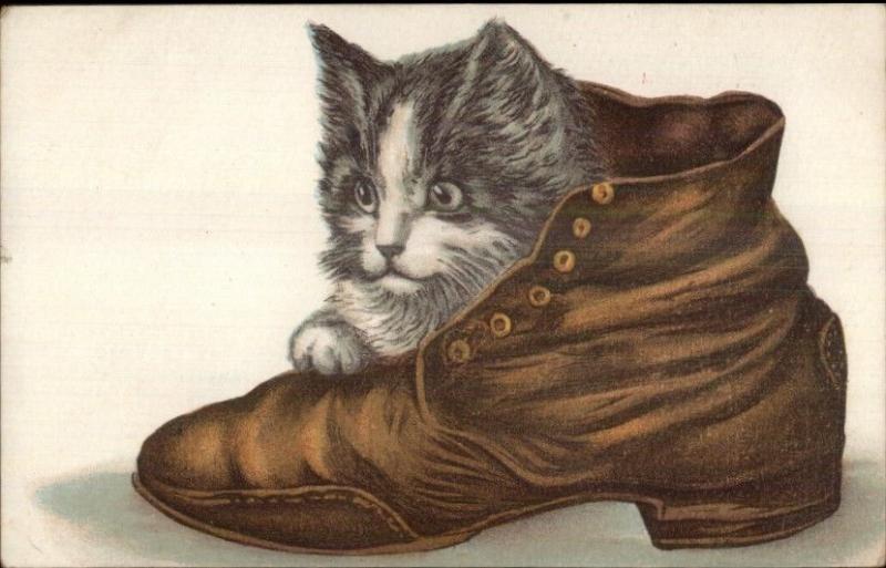 Cat - Adorable Kitten in Shoe c1910 Embossed Postcard