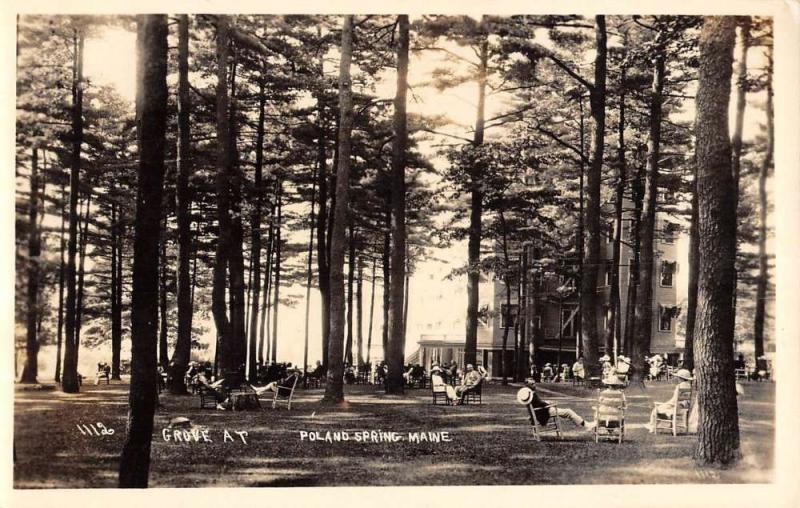 Poland Spring Maine Forest Relaxing Scene Real Photo Antique Postcard K84383