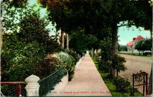 Vtg Postcard 1911 North Main Street Santa Ana California Street View Sidewalk