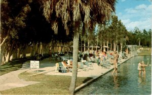 WARM MINERAL SPRINGS, U. S. 41, VENICE, Ponce Postcard