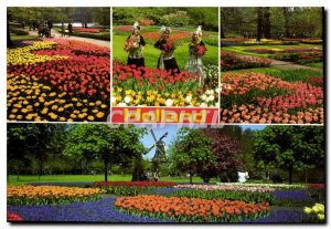 Modern Postcard Holland in parute flowers