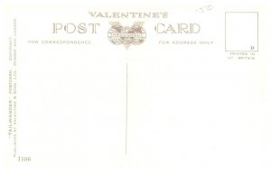 Dog ,  Waiting to Play