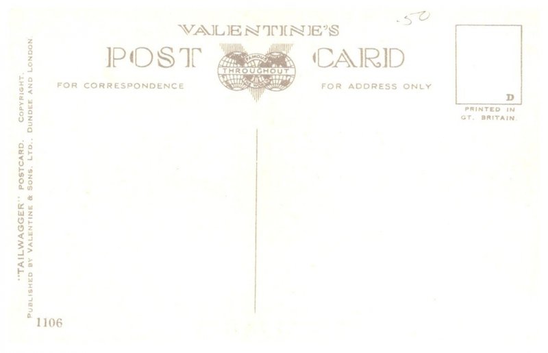 Dog ,  Waiting to Play