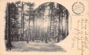 Olcott New York Olcott Beach Hotel Pioneer Log Cabin Vintage Postcard AA110753