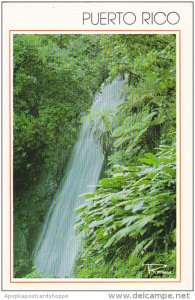Puerto Rico Cascade de La Coca El Yunque Rain Forest