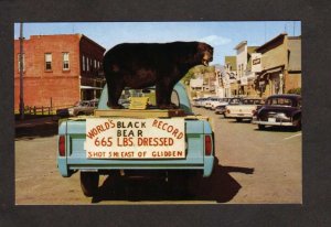 WI Black Bear Donald Streable & Otto Hedbany Glidden Wisconsin Postcard