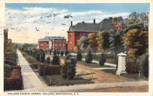 Greensboro North Carolina Normal College Avenue Antique Postcard K102206