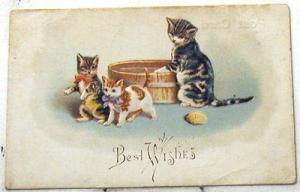 G3064    BEST  WISHES   POSTCARD,   CATS