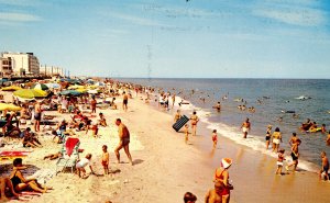 DE - Rehoboth Beach. Sun and Surf