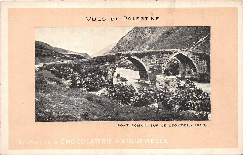 B57987 Liban Lebanon palestina palestine pont romain sur le leontes