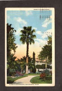 TX Alamo Plaza Road Palm Trees San Antonio Texas Postcard 1920 PC