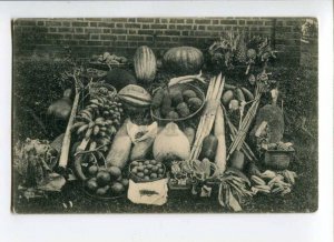 289212 CEYLON Fruits Vintage Plate postcard