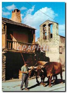Postcard Modern Roussillon Pyrenees Orientales Scene of the Catalan peasant l...