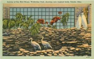 Toledo Ohio Zoo Bird House Waldbridge Tichnor Hirsch 1940s Postcard 21-13924