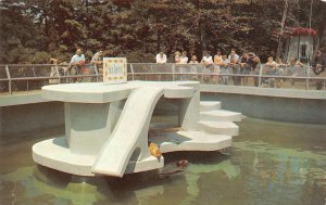 London, Ontario Canada  STORYBOOK GARDENS  Seal Slippery Cyril SPRINGBANK PARK