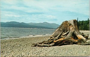 Davis Bay Sunshine Coast BC British Columbia Unused Postcard G25