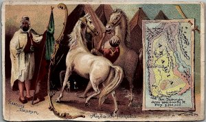 1889 ARBUCKLE BROS COFFEE NEW YORK ARABIAN HORSES VICTORIAN TRADE CARD 25-228