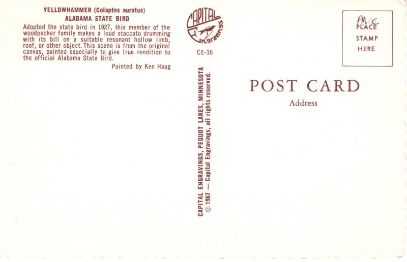 US    PC5308 YELLOWHAMMER ALABAMA STATE BIRD