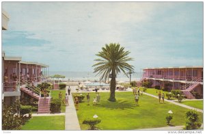 El Sirata Apartment Motel , ST. PETERSBURG BEACH , Florida , 50-60s