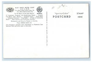 Vintage Blue Grass Motor Court Postcard P109E