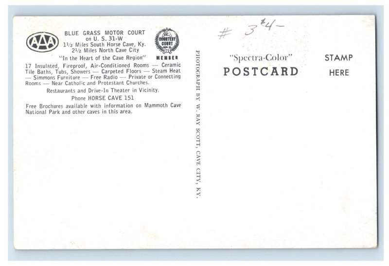 Vintage Blue Grass Motor Court Postcard P109E