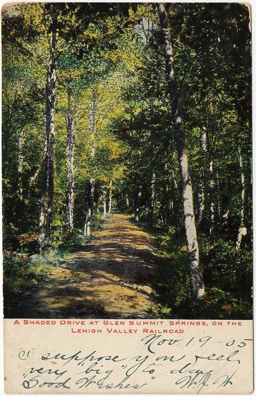 1905 Glen Summit Springs PA A Shaded Drive Lehigh Valley Railroad UDB Postcard