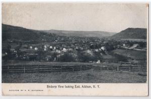 Bird's Eye View, Addison NY