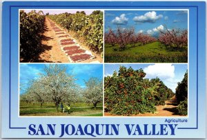 VINTAGE CONTINENTAL SIZE POSTCARD MULTIPLE SCENES AT SAN JOAQUIN VALLEY CALIF A