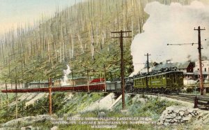 Wellington Train Pulled Rare Cascade Mountains Washington USA Postcard