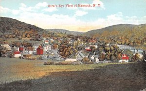 Bird's Eye View Hancock, New York Postcard