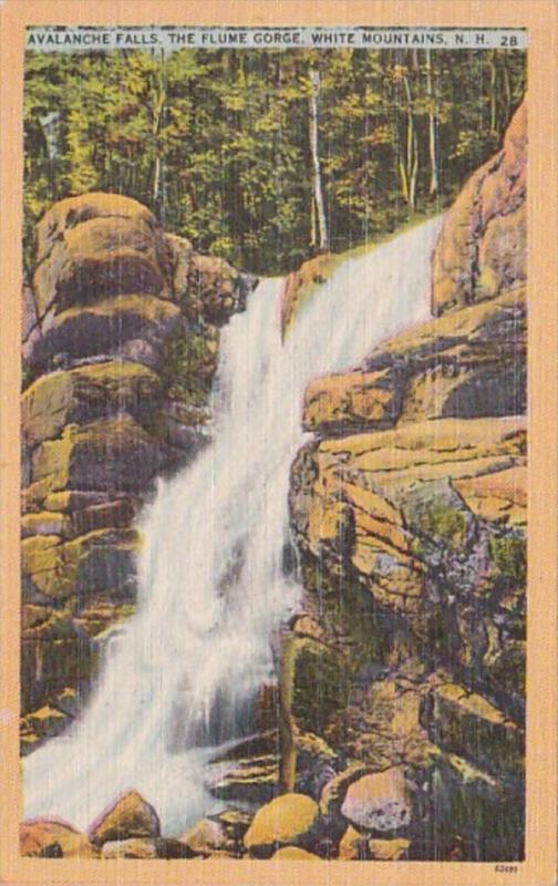 New Hampshire White Mountains Avalanche Falls The Flume Gorge 1950