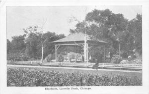 Chicago Illinois~Elephant in Lincoln Park~Lady on Bench Watching~c1910 B&W Pc