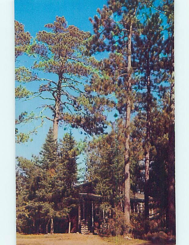 Unused Pre-1980 LODGE SCENE Cass Lake Minnesota MN J7262