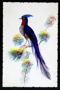 Postcard Peacock Novelty Feathers Add On Blue Watercolor K163