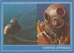 America Postcard - Diving, Sponge Diver, Tarpon Springs, Florida RR18583