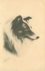 Artist Impression Beautiful dog C-1910 Postcard 10423