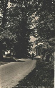 Wales The Avenue Murton Gower Vintage RPPC 08.88