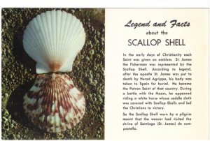 Legend And Facts About The Scallop Shell, Vintage Chrome Postcard