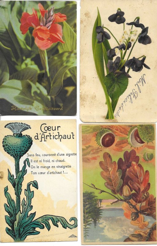 Beautiful flowers in Greeting Cards Lot of four (4) Dutch postcards 1950s