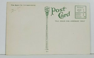 Alligator Slide c1915 Alligator Farm California Postcard N4