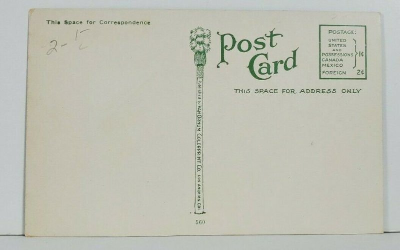 Alligator Slide c1915 Alligator Farm California Postcard N4