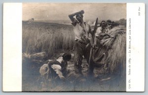 RPPC  The Harvest by Artist  Leon Lhermitte  Postcard